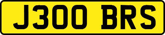 J300BRS