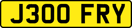 J300FRY