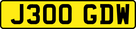 J300GDW