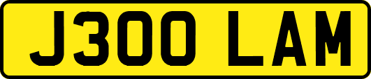 J300LAM