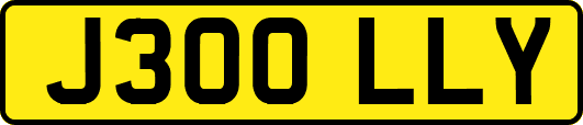 J300LLY