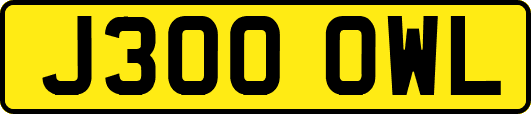 J300OWL