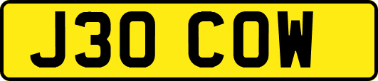 J30COW