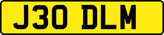 J30DLM