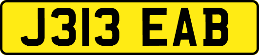 J313EAB