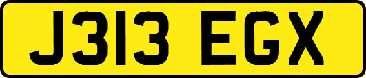 J313EGX