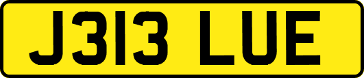 J313LUE