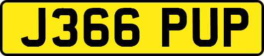J366PUP