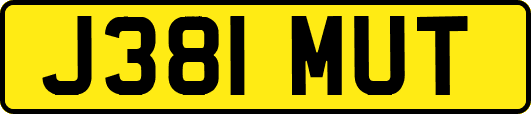 J381MUT