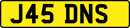 J45DNS
