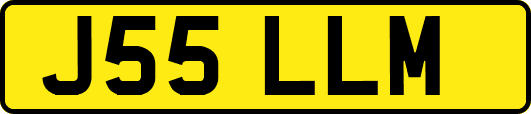 J55LLM