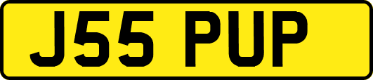 J55PUP