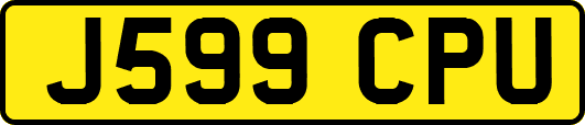 J599CPU