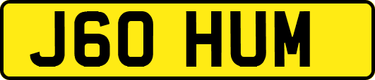 J60HUM