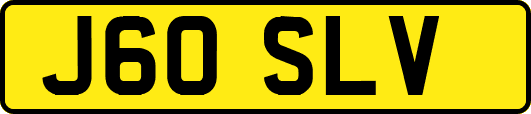 J60SLV