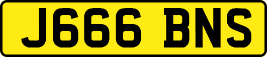 J666BNS