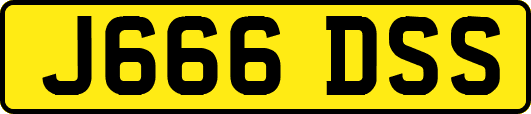 J666DSS