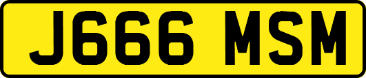 J666MSM
