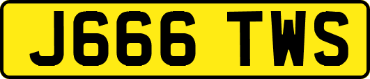 J666TWS