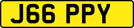 J66PPY