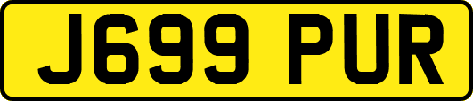 J699PUR