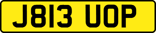 J813UOP