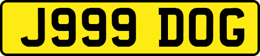 J999DOG