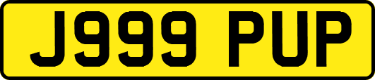 J999PUP