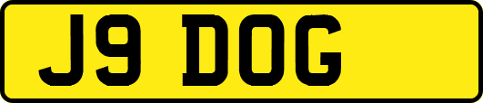 J9DOG