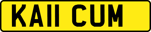 KA11CUM