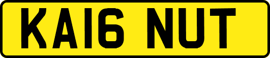 KA16NUT