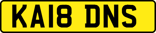 KA18DNS