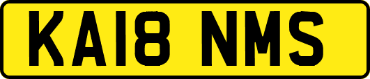KA18NMS
