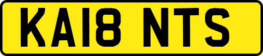 KA18NTS
