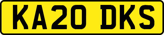 KA20DKS