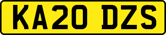 KA20DZS