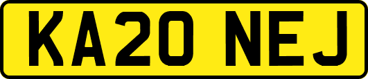 KA20NEJ