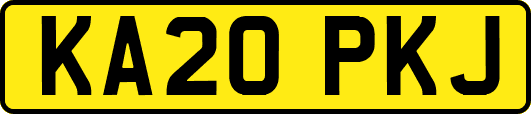 KA20PKJ