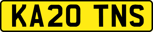 KA20TNS