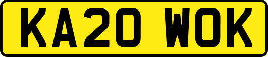 KA20WOK