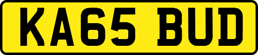 KA65BUD