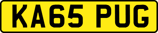 KA65PUG