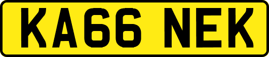KA66NEK