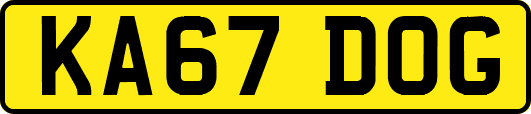 KA67DOG