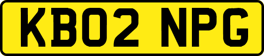 KB02NPG