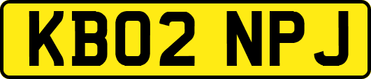 KB02NPJ