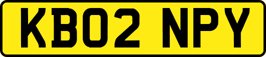 KB02NPY