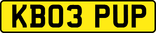 KB03PUP