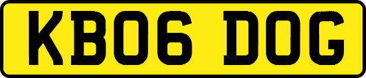 KB06DOG