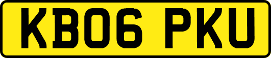 KB06PKU